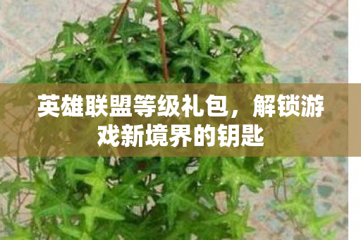 解锁游戏新境界的钥匙图片