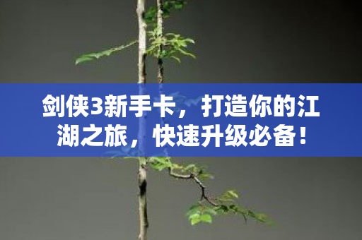 打造你的江湖之旅图片