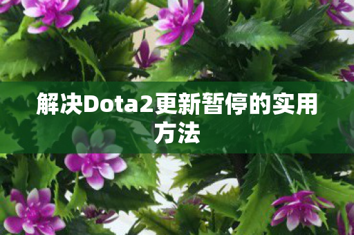 解决Dota2更新暂停的实用方法图片