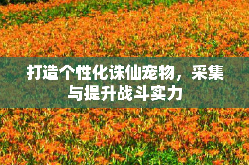 打造个性化诛仙宠物图片