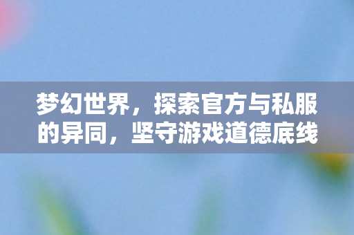 探索官方与私服的异同图片