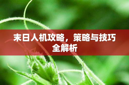 策略与技巧全解析图片
