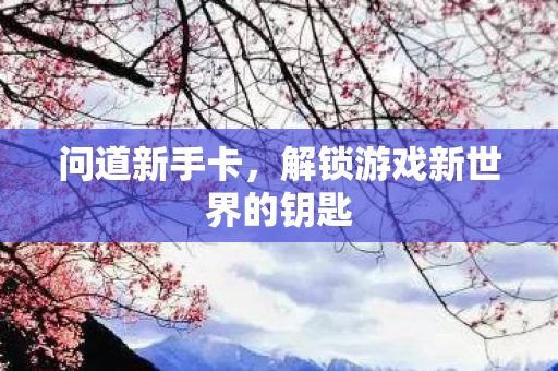 解锁游戏新世界的钥匙图片