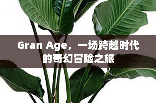 一场跨越时代的奇幻冒险之旅图片