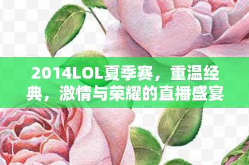 2014LOL夏季赛图片