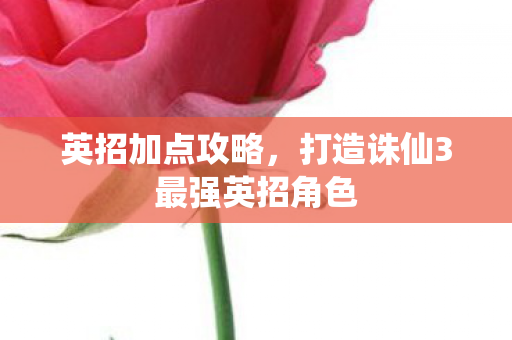 打造诛仙3最强英招角色图片
