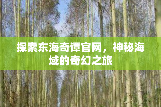 神秘海域的奇幻之旅图片