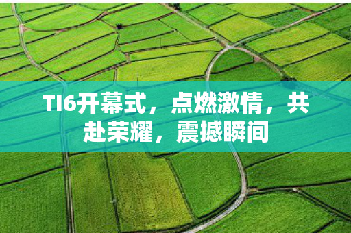 TI6开幕式图片