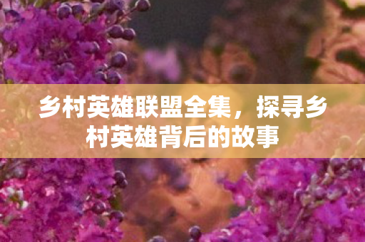 探寻乡村英雄背后的故事图片