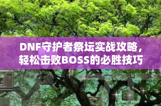 轻松击败BOSS的必胜技巧图片