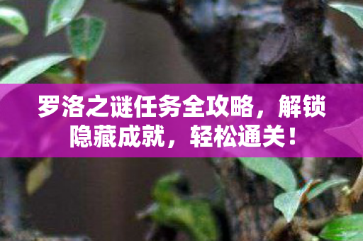 罗洛之谜任务全攻略图片