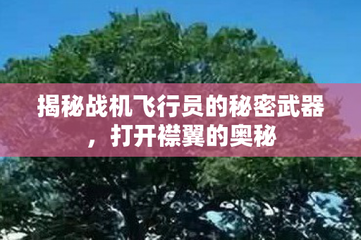 揭秘战机飞行员的秘密武器图片