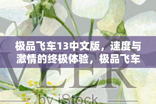 速度与激情的终极体验图片
