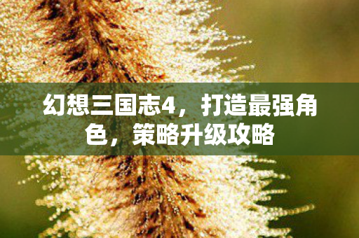 幻想三国志4图片