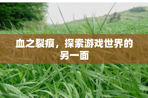 探索游戏世界的另一面图片