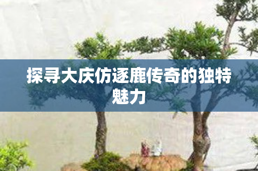 探寻大庆仿逐鹿传奇的独特魅力图片