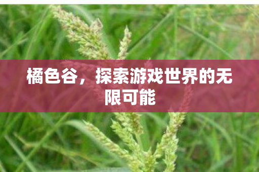探索游戏世界的无限可能图片