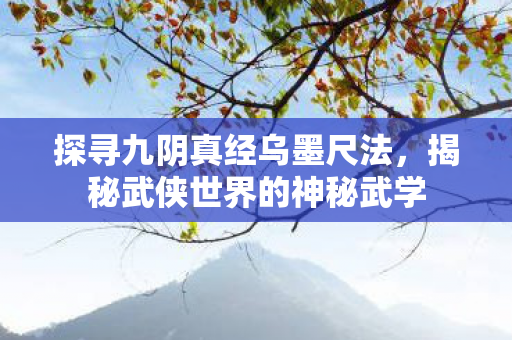 揭秘武侠世界的神秘武学图片
