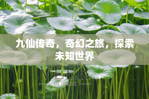探索未知世界图片