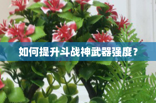 如何提升斗战神武器强度图片