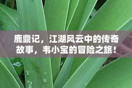 江湖风云中的传奇故事图片