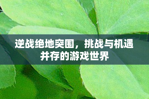 挑战与机遇并存的游戏世界图片