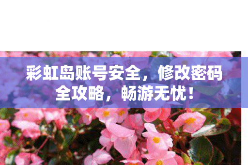 彩虹岛账号安全图片