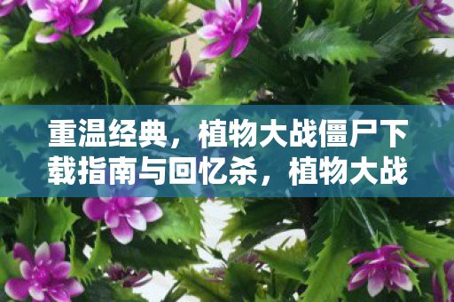 植物大战僵尸下载指南与回忆杀图片