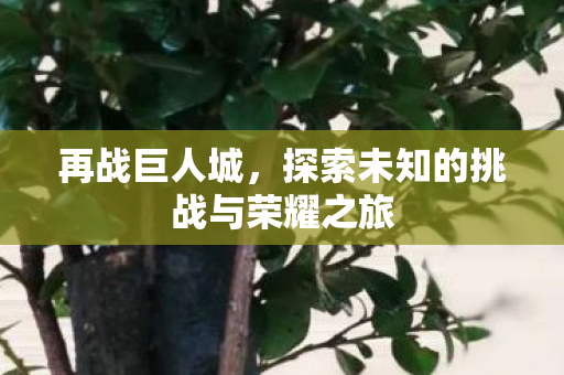 探索未知的挑战与荣耀之旅图片