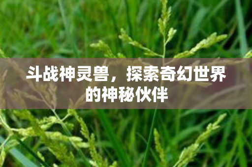 探索奇幻世界的神秘伙伴图片