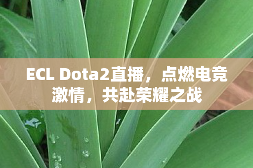 ECL Dota2直播图片