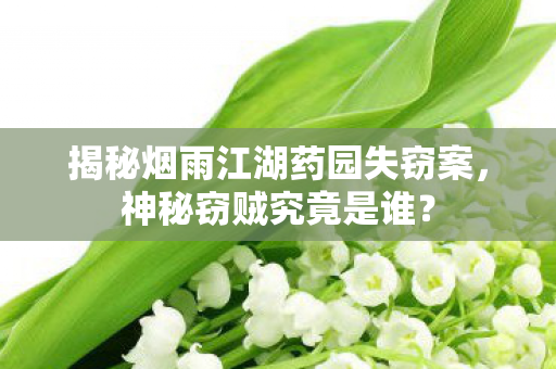 揭秘烟雨江湖药园失窃案图片