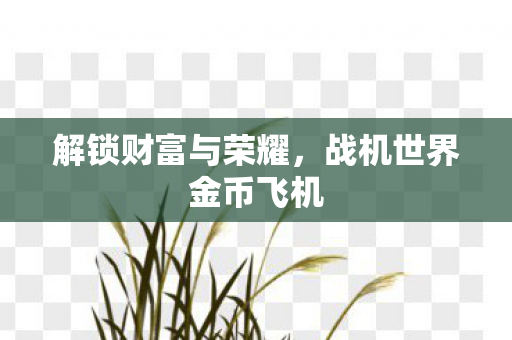 战机世界金币飞机图片