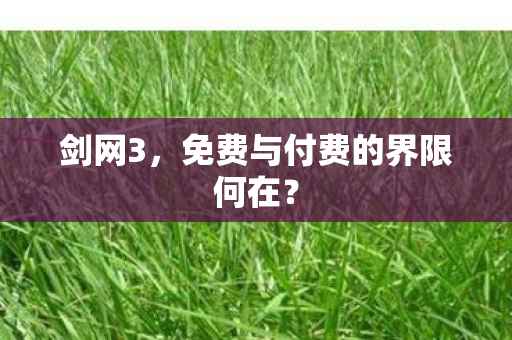 免费与付费的界限何在图片