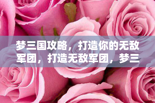 打造你的无敌军团图片