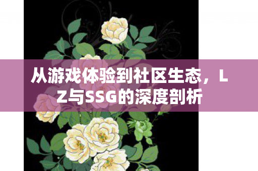 LZ与SSG的深度剖析图片