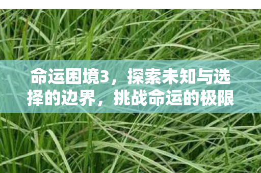 探索未知与选择的边界图片