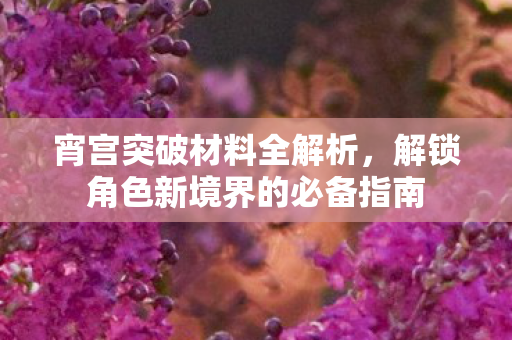 解锁角色新境界的必备指南图片
