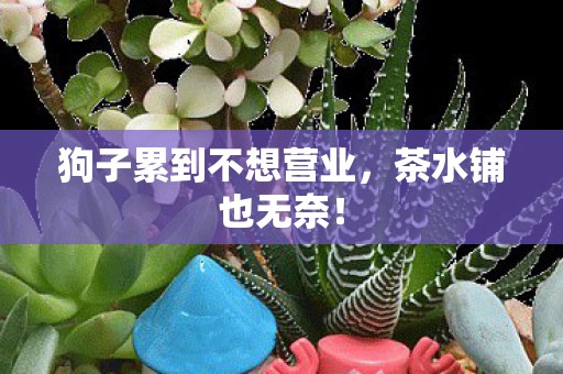 狗子累到不想营业图片