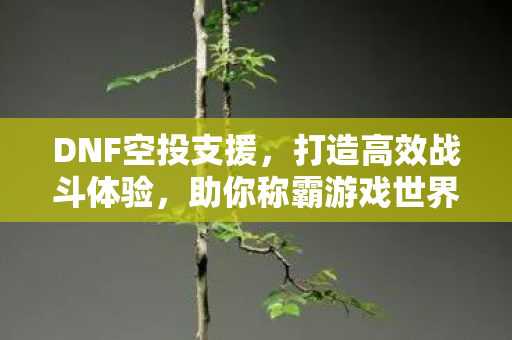 打造高效战斗体验图片