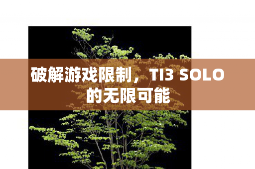 TI3 SOLO的无限可能图片