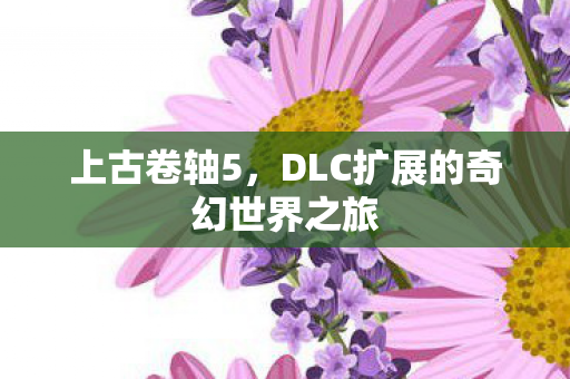 DLC扩展的奇幻世界之旅图片
