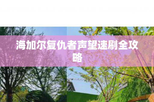 海加尔复仇者声望速刷全攻略图片