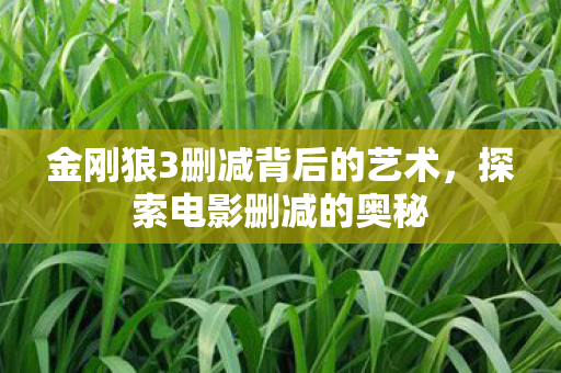 金刚狼3删减背后的艺术图片