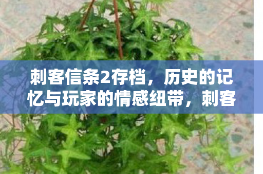 存档中的历史记忆与玩家情感纽带图片