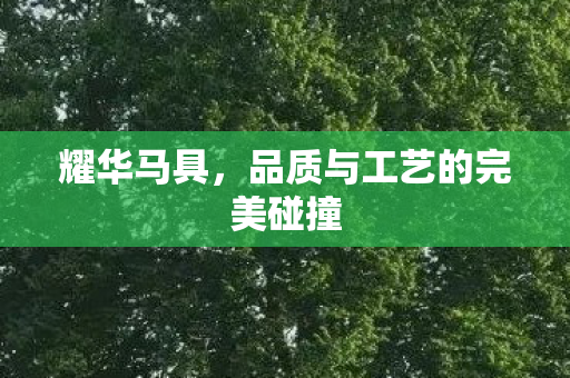 品质与工艺的完美碰撞图片
