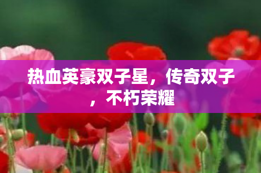 热血英豪双子星图片