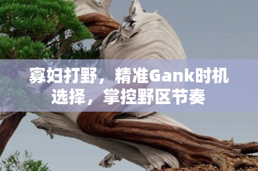 精准Gank时机选择图片
