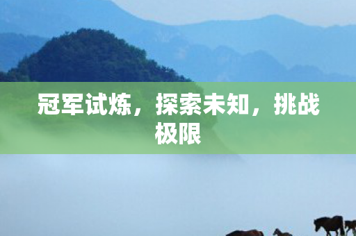 冠军试炼图片