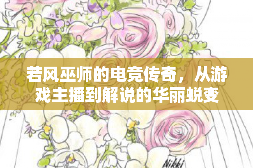 从游戏主播到解说的华丽蜕变图片